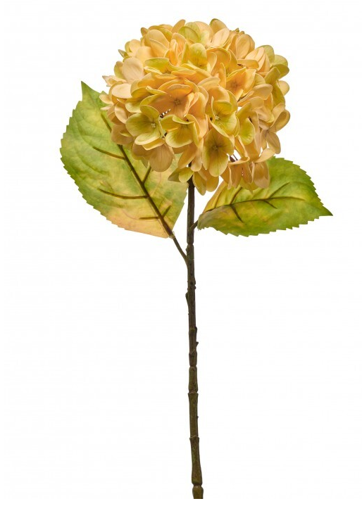 "Just Cut" Autumn Hydrangea (3 Colors)