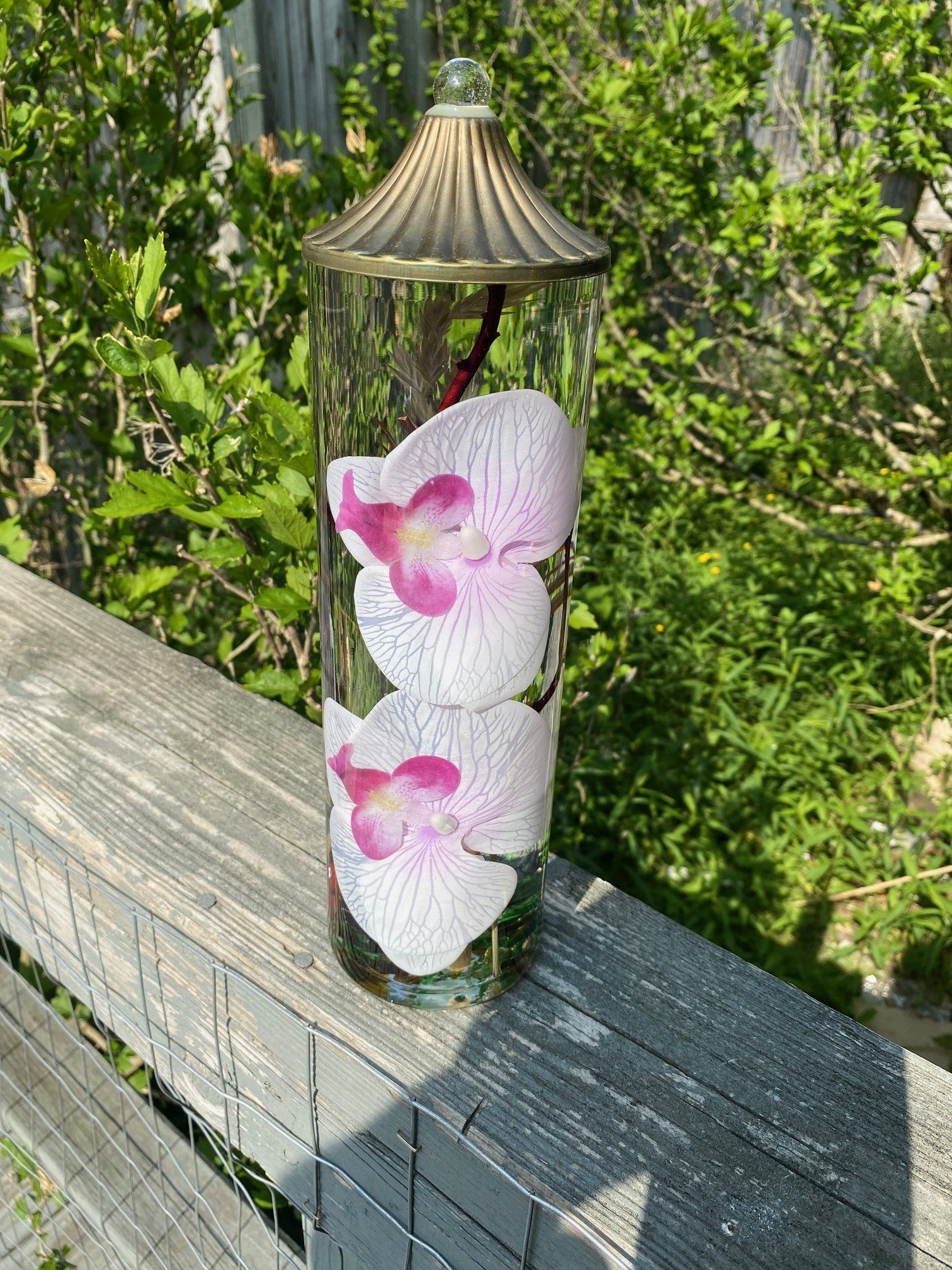 Phalaenopsis Orchid Lifetime Oil Candle (7-Styles)