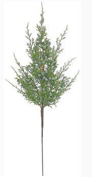 Seeding Juniper Spray (2-Colors)