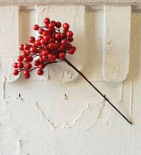 Waterproof Red Berry Pick