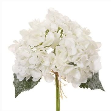 Snowy Hydrangea Bundle