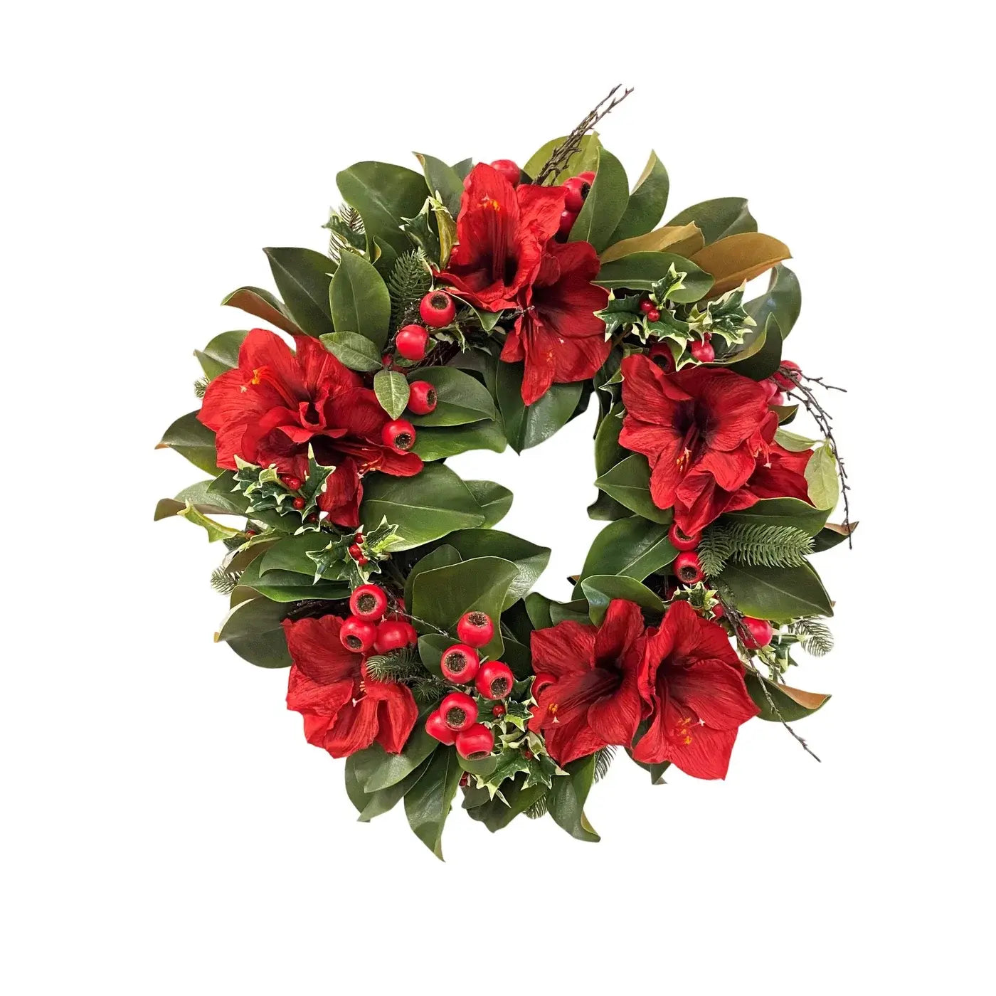24" Amaryllis Holly Wreath