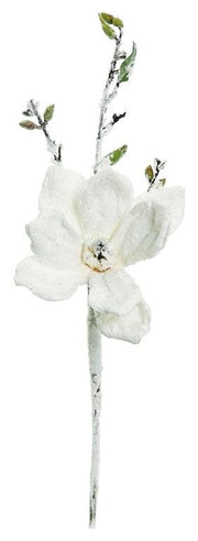 Snowy Japanese Magnolia Spray