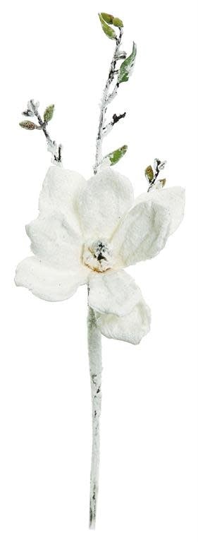 Snowy Japanese Magnolia Spray