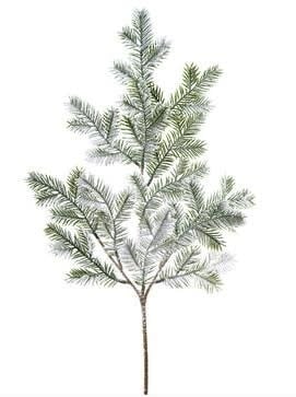 Snowy Cypress Spray
